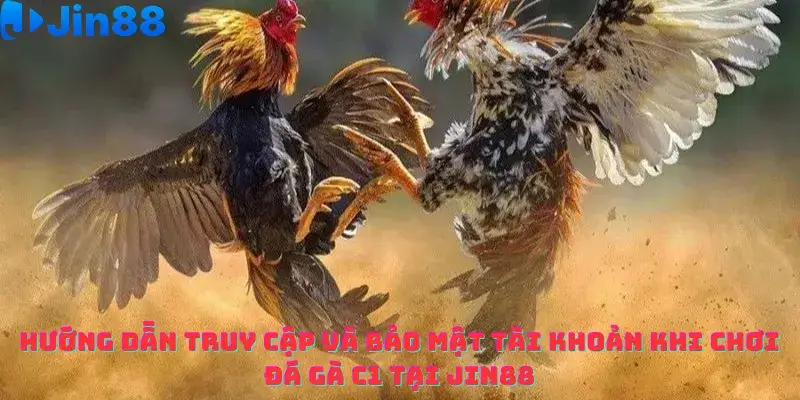 Đá gà C1 Jin88 – Phân tích Chiến thuật cá cược Luôn thắng từ Chuyên gia - hình ảnh - yohtifcfel.top