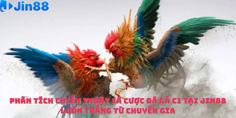 Đá gà - Jin88 - hình ảnh - yohtifcfel.top Đá gà - Jin88 - hình ảnh - yohtifcfel.top