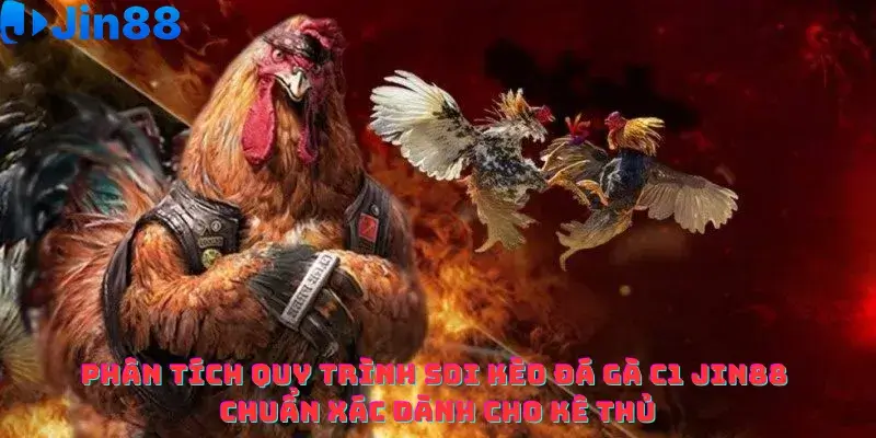 Đá gà C1 Jin88 – Phân tích Chiến thuật cá cược Luôn thắng từ Chuyên gia - hình ảnh - yohtifcfel.top